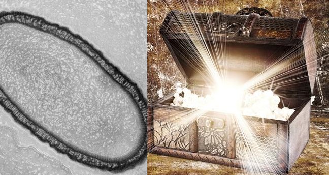 Opening Pandora’s Box: 30,000-Year-Old ‘Giant’ Virus To Be Brought Back To Back To Life By Scientists