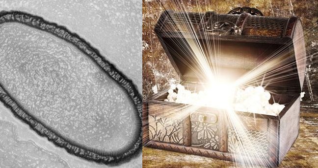 Opening Pandora’s Box: 30,000-Year-Old ‘Giant’ Virus To Be Brought Back To Back To Life By Scientists