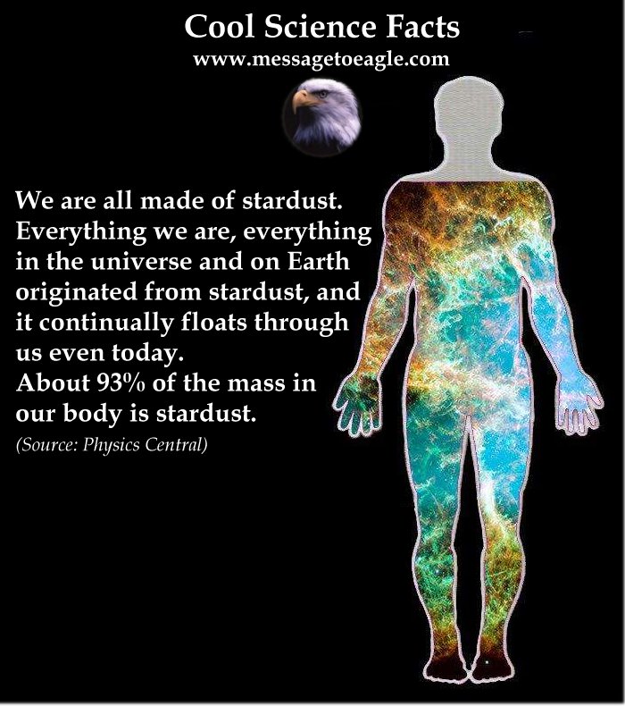 We Are Made Of Stardust