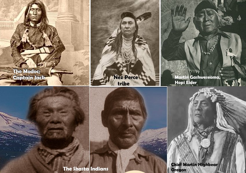 Coyote: Hero, Trickster, Immortal And Respected Animal In Native