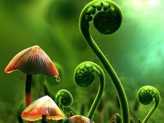 Plants May Be Deaf But They Can Feel See Smell And Remember