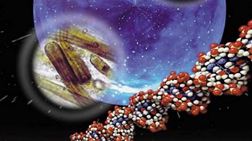 'RNA World' Hypothesis Questioned: Alternate Theory Of How Life Started