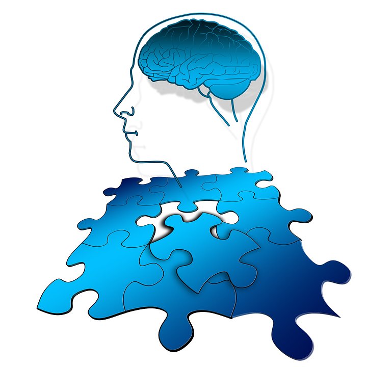 Why Did Our Brains Start Shrinking 20,000 Years Ago?