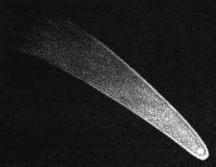 The Great Comet of 1811,