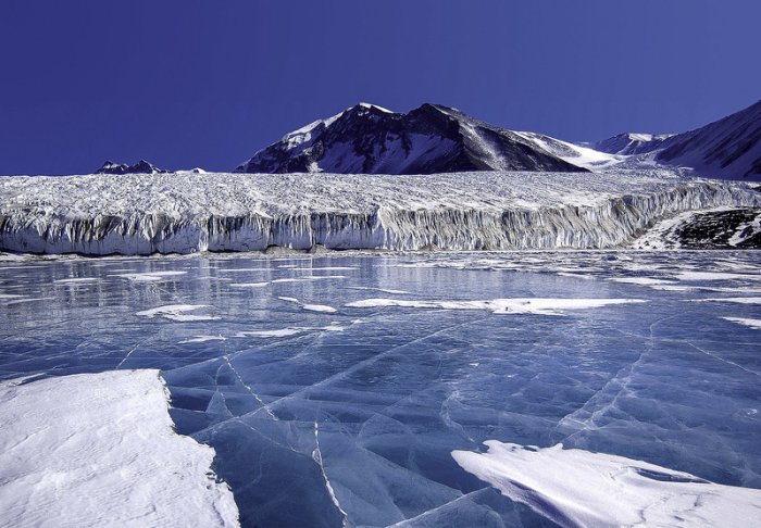 Surprising Discovery Beneath Frozen Antarctic Lake – How Did These