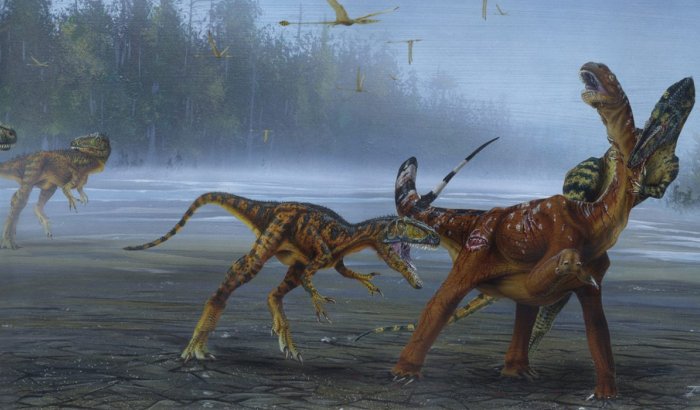 Allosaurus: New Species Of Meat-Eating Dinosaur Discovered In Utah | MessageToEagle.com