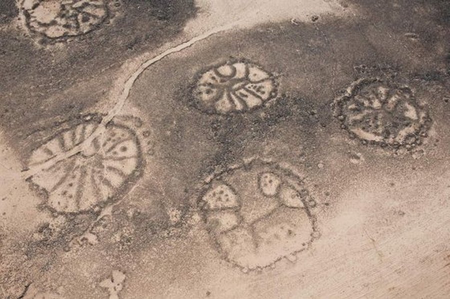 Giant stone structures form wheel shapes with spokes often radiating inside. Here a cluster of wheels in the Azraq Oasis. CREDIT: David D. Boyer