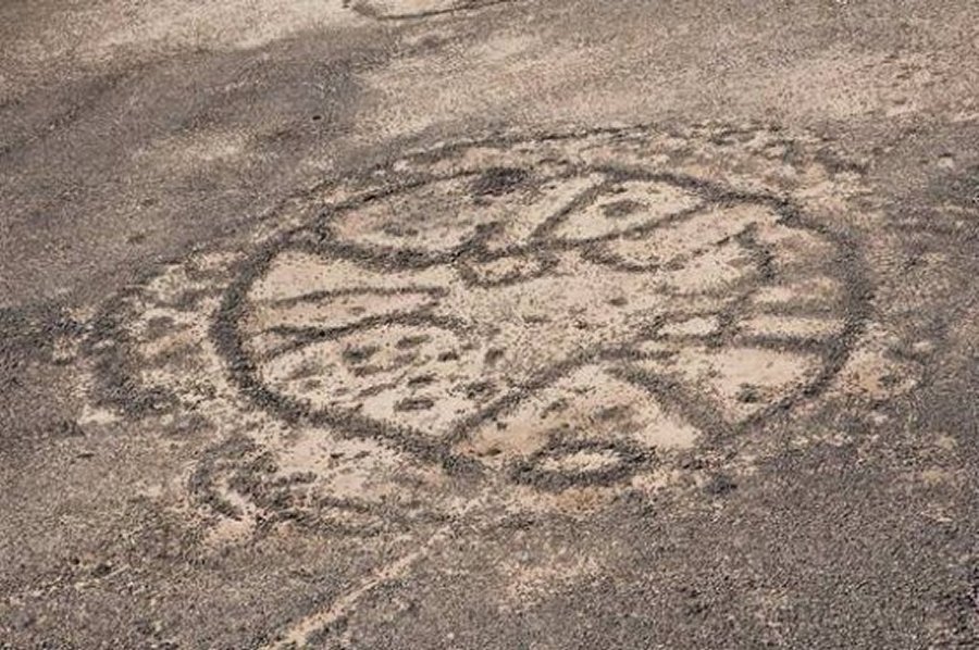 A close-up of one of the mysterious circles. Credit: David D. Boyer