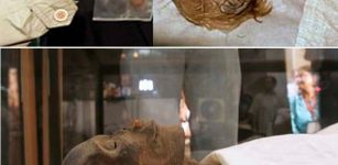 preservation of red hair mummy