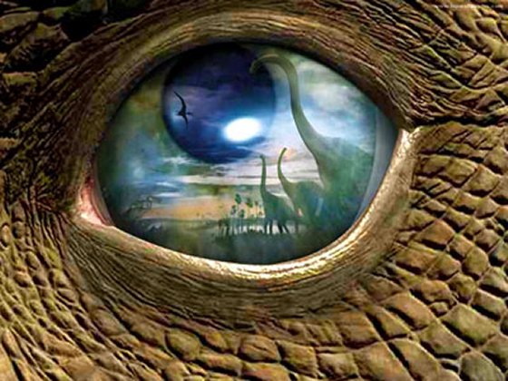 Dinosaur's eye