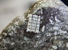 250-Million-Year-Old Stone With Microchip