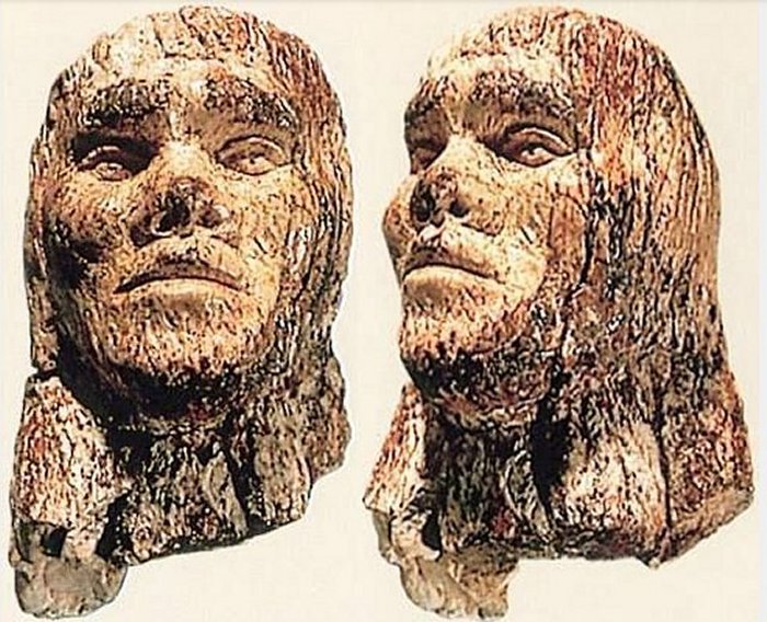 The male ivory head (8 cm tall) allegedly from Dolni Vestonice, Czech Republic. .