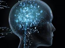 brain hologram