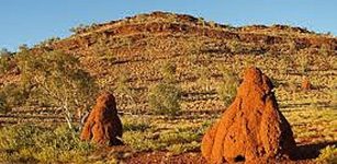 Pilbara Australia