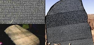 The artifact thus held the key to solving the riddle of hieroglyphics, a written language that had been "dead" for nearly 2,000 years.