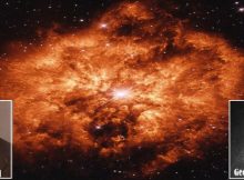 Wolf-Rayet massive stars (named after their discoverers) are evolved, massive stars, which are losing mass rapidly due to very strong stellar wind, with speedsup to 2000 km/s.
