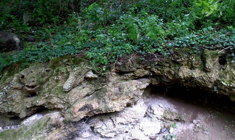 A view of part of the semi-circular rock niche near Bulgaria’s Sliven where mysterious rock carvings of animal heads have been discovered. Facebook users have dubbed the site “The Rock Herd”. Photo: Sliven Agency
