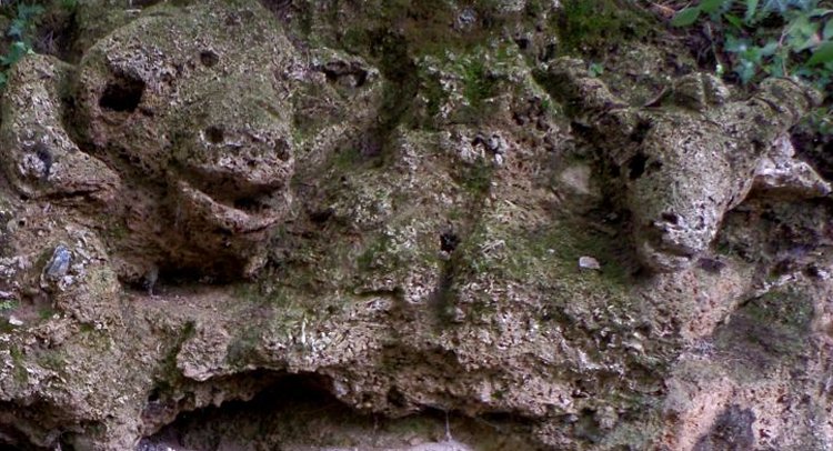 Heads of cattle, goats and capricorns, as well as other animals are clearly visible carved into the rock at the “Rock Herd” site near Bulgaria’s Sliven. Photos: Sliven Agency