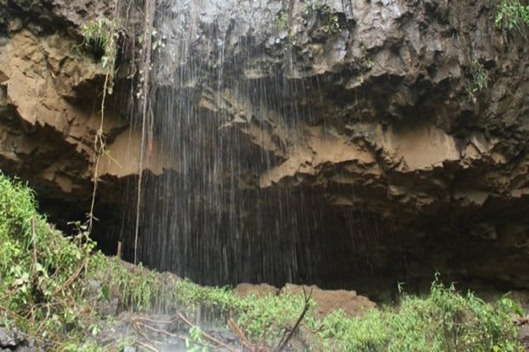 The Mota cave in Ethiopia, where a 4,500-year-old skeleton was found Photo: Dr. Matthew Curtis