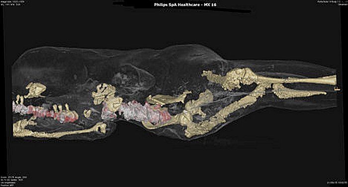 Pompeii victims