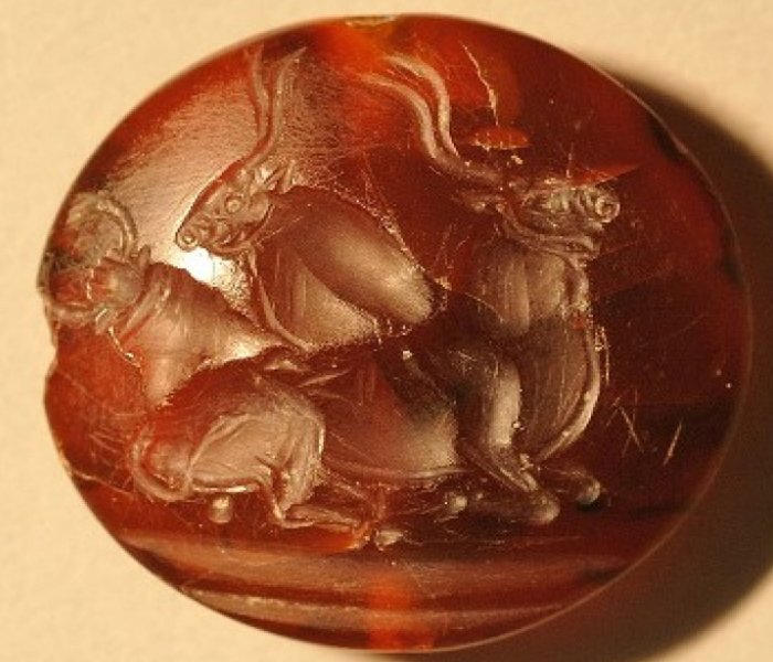 This is one of more than four dozen seal stones with intricate Minoan designs found in the tomb. Long-horned bulls and, sometimes, human bull jumpers soaring over their horns are a common motif in Minoan designs.