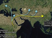 Our species, Homo sapiens, is thought to have appeared in Africa around 200,000 years ago. The details of its dispersal from there are still murky. The latest study suggests that our ancestors first spread east, via the Arabian Peninsula, and entered South Asia long before the 60,000 year mark (shown by the yellow arrow). Photo Credit: Daily Mail.