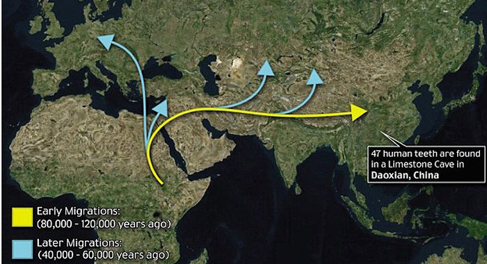 Our species, Homo sapiens, is thought to have appeared in Africa around 200,000 years ago. The details of its dispersal from there are still murky. The latest study suggests that our ancestors first spread east, via the Arabian Peninsula, and entered South Asia long before the 60,000 year mark (shown by the yellow arrow). Photo Credit: Daily Mail.