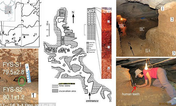 Geographical location and interior views of the Fuyan Cave, Doaxian with dating sample (lower left), plan view of the excavation area with surface layer marked (center), the excavated regions and researcher finding human tooth are shown right. Photo Credit: Daily Mail.