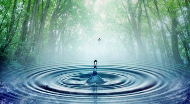 Thoughts and words have unique magnetic code, which can interact with water; according to Dr Emoto.