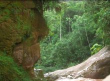 Amarakarei Face Peru