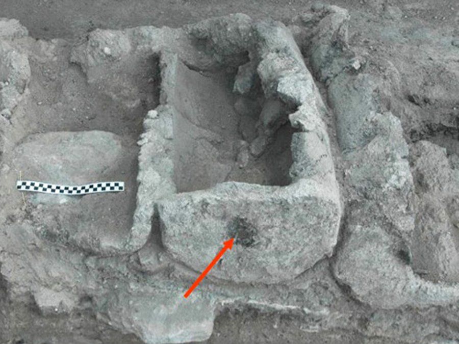 Bees used these holes to enter and exit from the ancient clay hives at Tel Rehov, Israel. (Image: Hebrew University of Jerusalem)