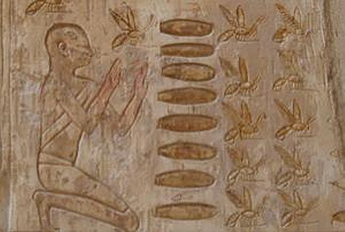 Ancient Egyptian paintings depict bee-keeping, but hives were not found in the Middle East until 2005 when Amihai Mazar of the Hebrew University of Jerusalem excavated 30 clay cylinders identical to the hives in the paintings, in the ancient town of Tel Rehov.