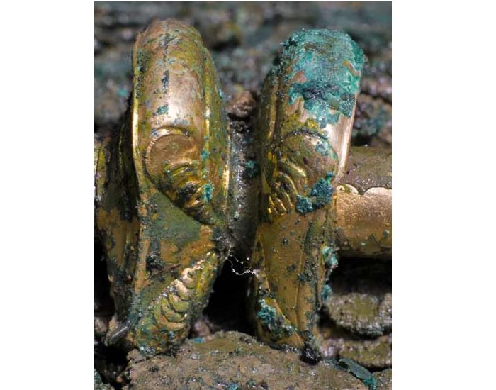 The Jersey Hoard is the world's largest collection of Celtic coins. © Jersey Heritage