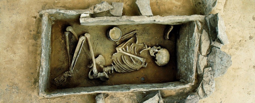 The DNA came from the remains of people who lived between 3,000 and 8,500 years ago at different sites across what is now Europe, Siberia and Turkey. That time span provided snapshots of genetic variation before, during and after the agricultural revolution in Europe.