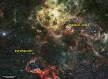 NASA's Fermi Gamma-ray Space Telescope has detected the first extragalactic gamma-ray pulsar, PSR J0540-6919, near the Tarantula Nebula (top center) star-forming region in the Large Magellanic Cloud, a satellite galaxy that orbits our own Milky Way. Fermi detects a second pulsar (right) as well but not its pulses. PSR J0540-6919 now holds the record as the highest-luminosity gamma-ray pulsar. The angular distance between the pulsars corresponds to about half the apparent size of a full moon. Background: An image of the Tarantula Nebula and its surroundings in visible light. Credits: NASA's Goddard Space Flight Center; background: ESO/R. Fosbury (ST-ECF)