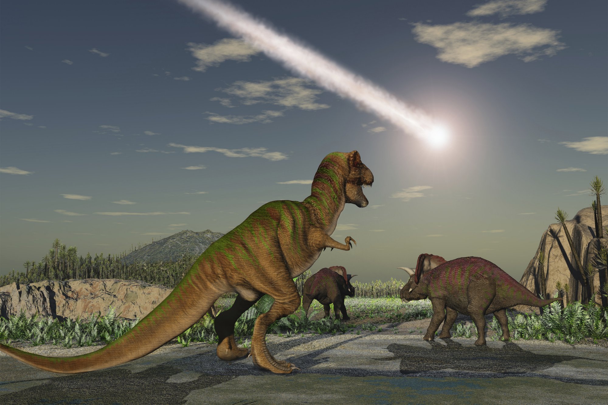 So many species are in such rapid decline that scientists said the Earth's sixth great extinction is under way. The last mass extinction event, which killed off the dinosaurs, occurred 65 million years ago.