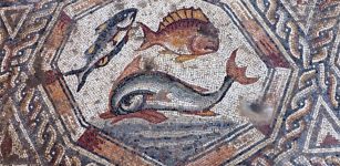 IAA mosaic of fish uncovered in Lod. Credits: Israel Antiquities Authority