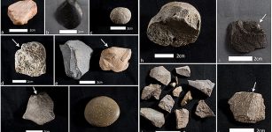 The stone tools discovered by the team were similar to what Dillehay had previously found at Monte Verde. Many were simple unifacial tools—meaning they were worked on only one side of the stone, to create a sharp edge—though some of the younger tools and projectile points indicate bifacial technologies.