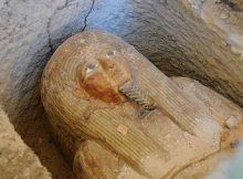 “The sarcophagus is made of wood and covered with a layer of plaster. It represents the deceased wearing a wig and crown with flowers and colorful ribbons along with ceremonial beard and a necklace adorning his chest.”