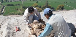 Jorge Achka Rodriguez (Universidad Nacional Mayor de San Marcos, Lima) and Manuel Angel Mamaní (Universidad Nacional de San Agustín, Arequipa) excavating a looted mummy bundle at Uraca(Photo courtesy of Beth K. Scaffidi)