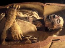 Ancient mummies