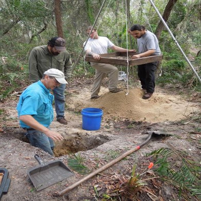Archaeologist Ken Sassaman, standing in the hole, with UF graduate students Josh Goodwin, Terry Barbour and Anthony Boucher, examine the contents of the mound in October. Courtesy of Ken Sassaman