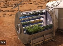 NASA plans to grow food onboard future spacecraft and on other plants as a food supplement for its astronauts. (NASA)