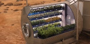 NASA plans to grow food onboard future spacecraft and on other plants as a food supplement for its astronauts. (NASA)