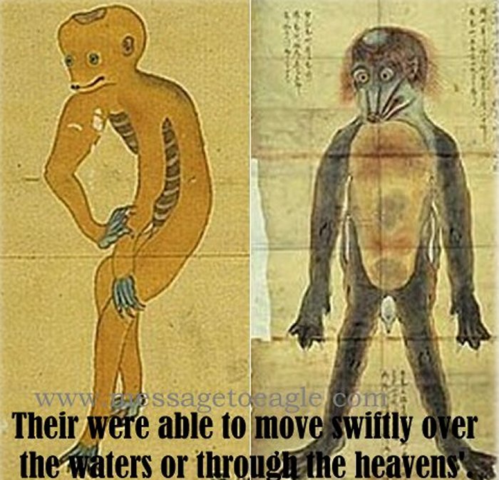 The mysterious Kappas are not a fantasy because there is enough evidence that confirm their existence.