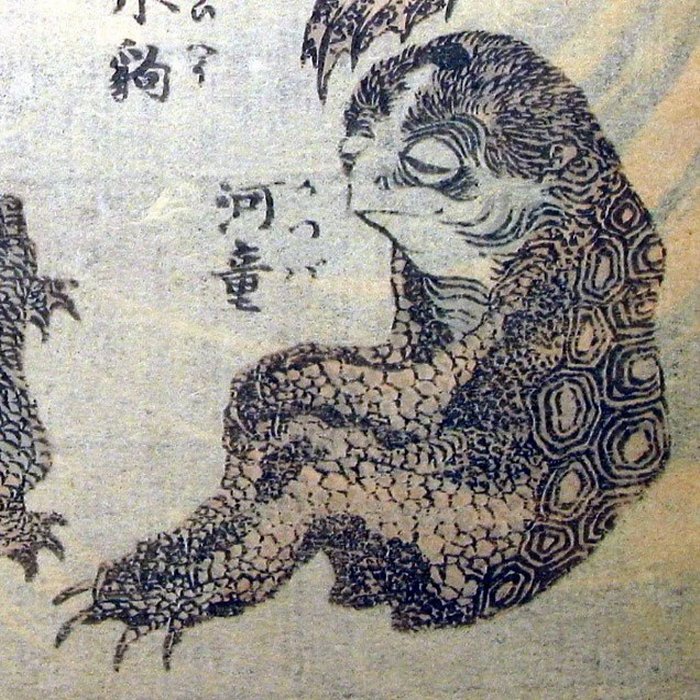 The medieval Japan chroniclers also claim that these beings lived in large 'shells' floating quietly on the water.