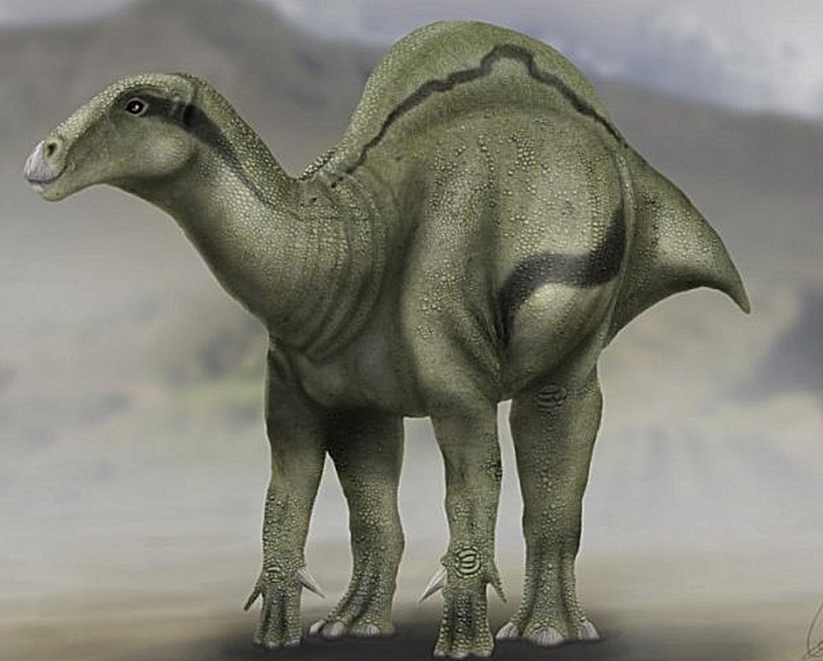 This is a picture of a life reconstruction of Morelladon beltrani. Credit: Carlos de Miguel Chaves