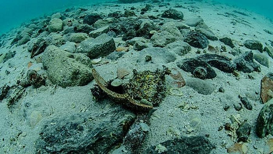 800-year-old shipwreck