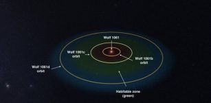 Wolf 1061 and its orbiting planets. The habitable zone is shaded green. Image supplied.