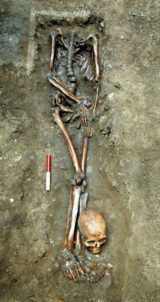 One of the skeletons excavated by York Archaeological Trust at Driffield Terrace (credit: York Archaeological Trust)